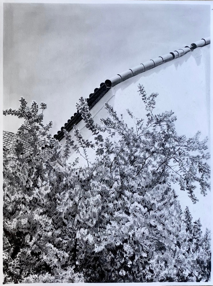 'Scribble in Full Bloom' 18x24 inch original