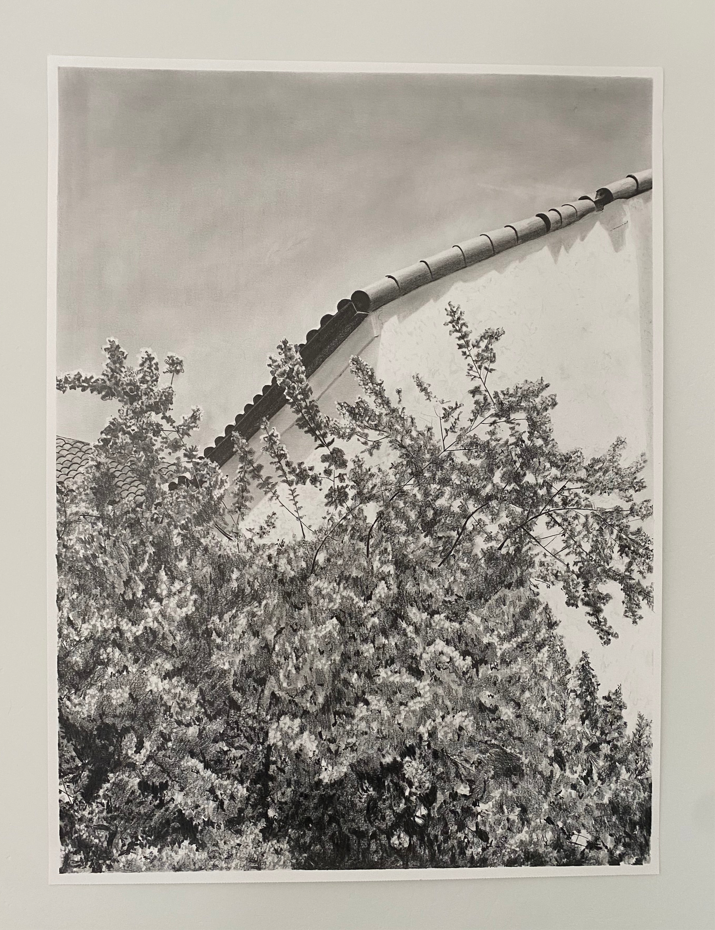 ‘Scribble in Full Bloom’ Print