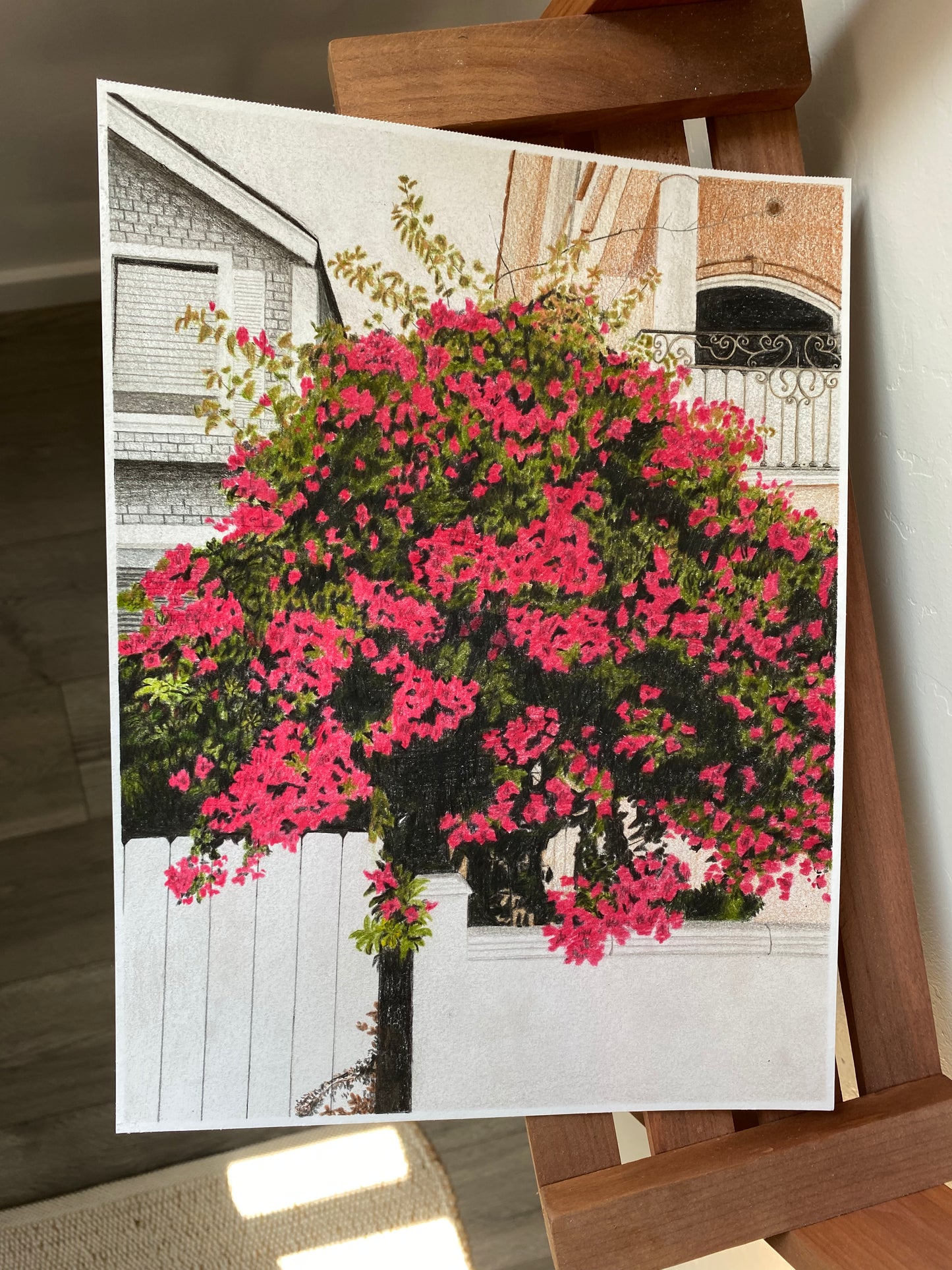 'Great Bougainvillea' Print