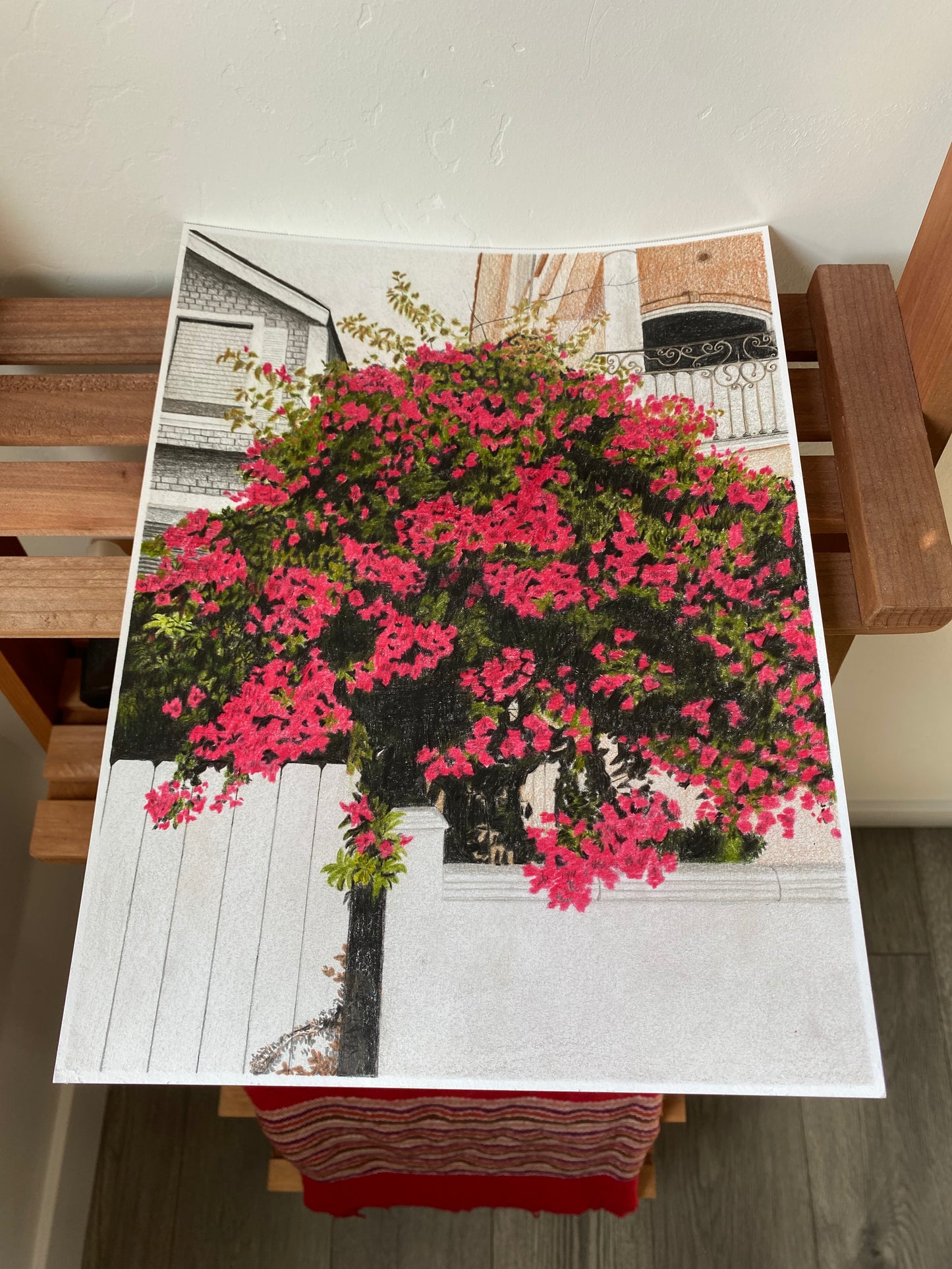'Great Bougainvillea' Print